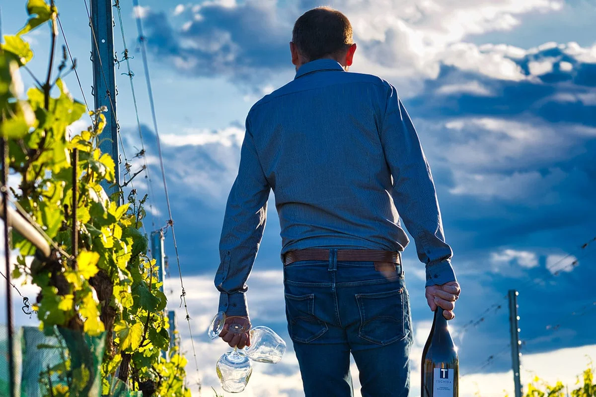 Rosé und Schaumweine vom Weingut Tschida