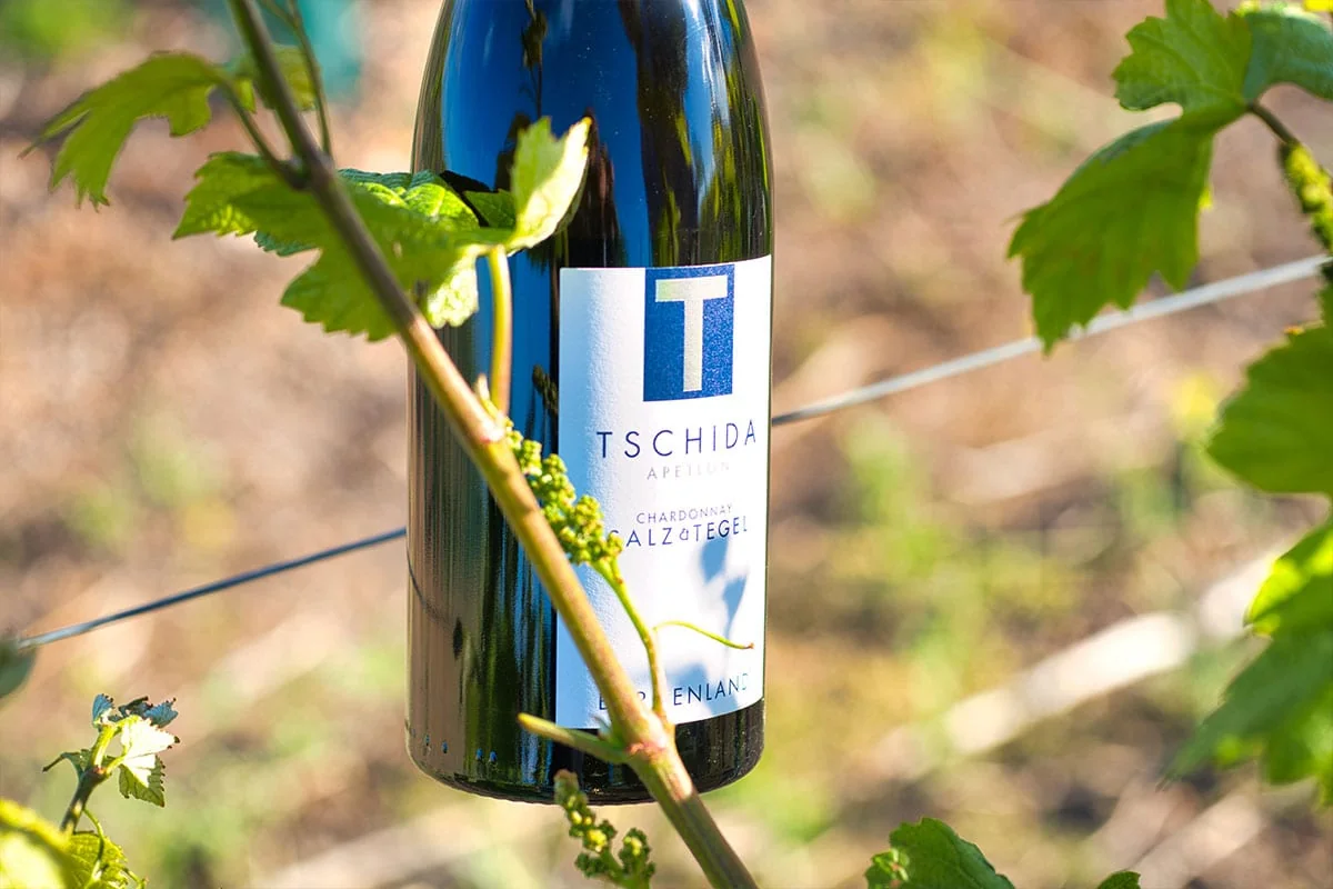 Chardonnay Salz & Tegel im Weinberg vom Weingut Tschida